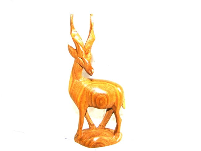 Antelope