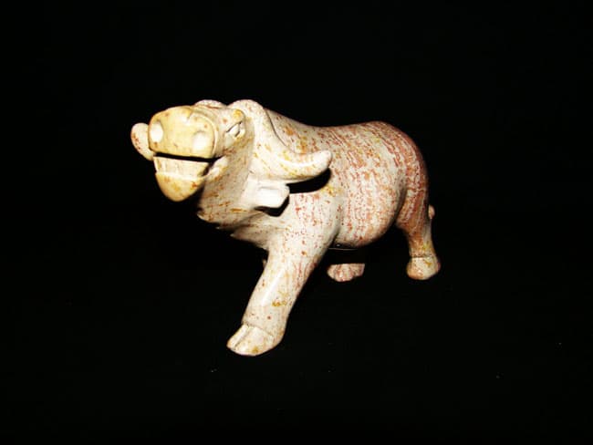 Buffalo