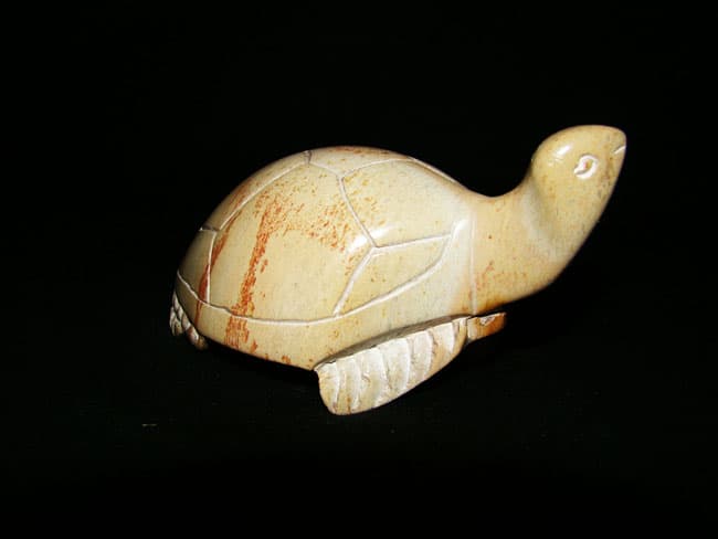 Tortoise