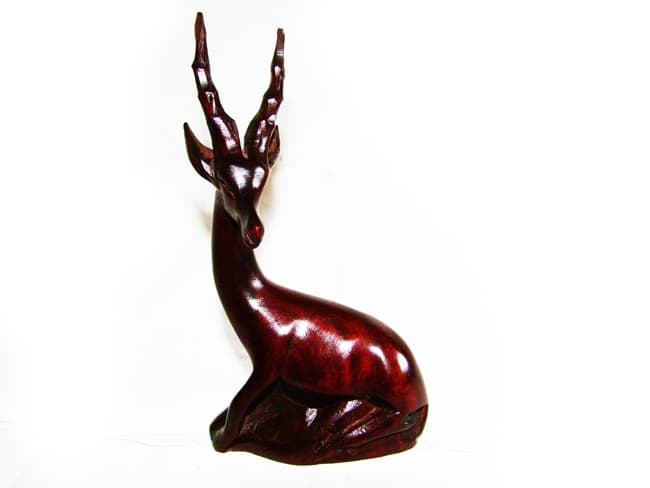 Antelope Sitting