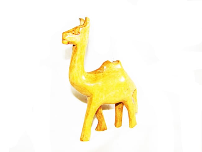Camel