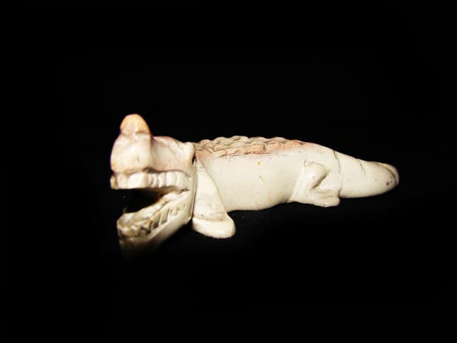 Crocodile