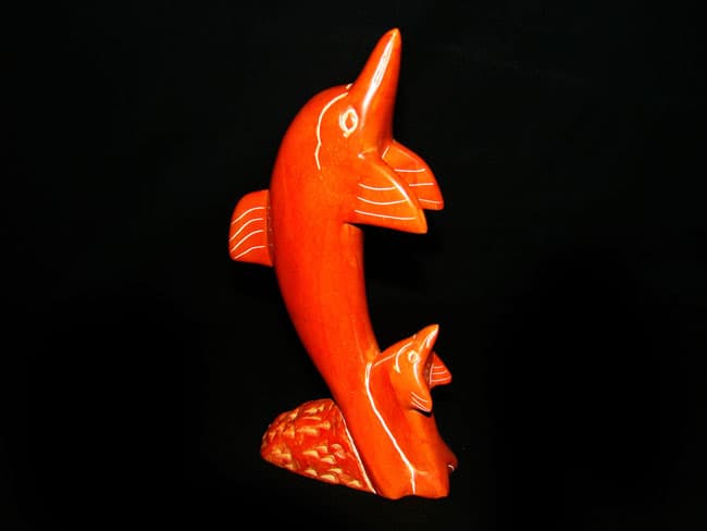 Dolphin with Baby