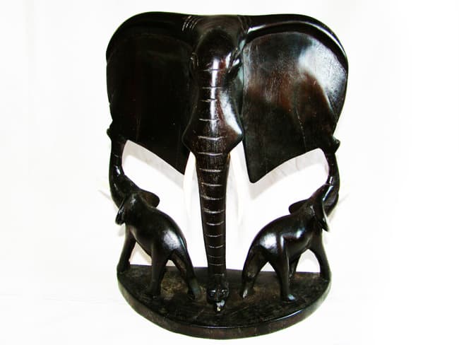 Elephant Trophy