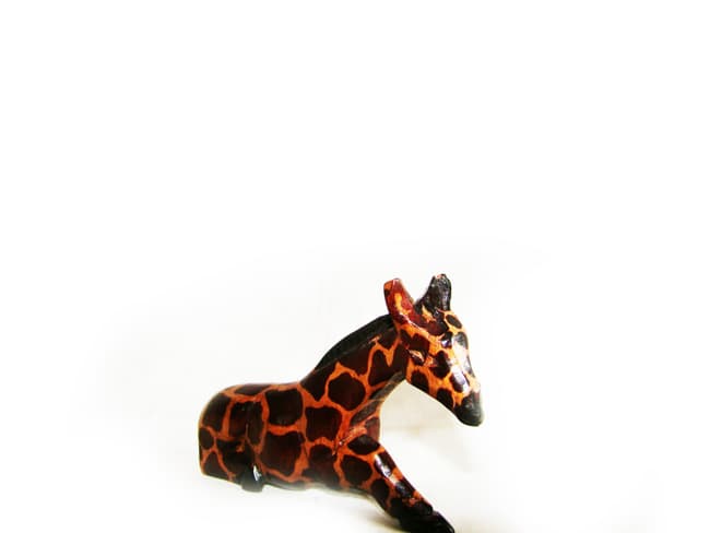 Giraffe Kneeling