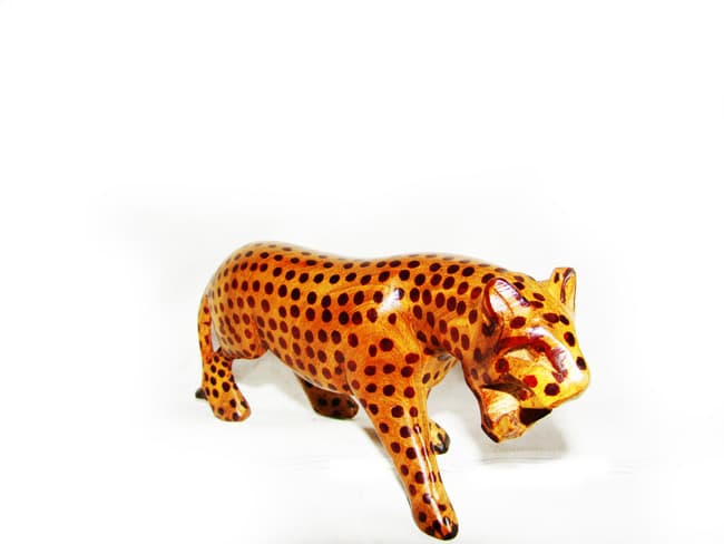 Leopard