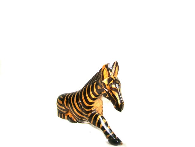 Zebra Kneeling