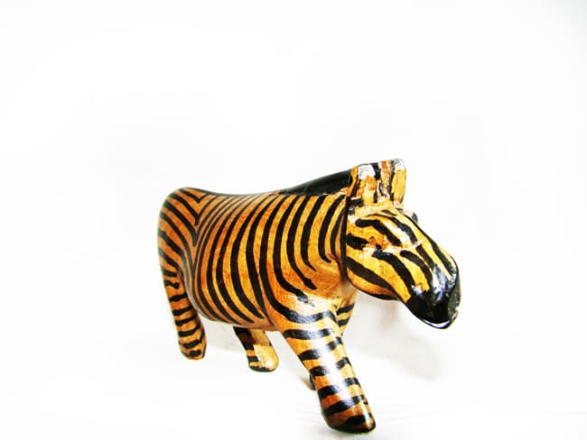 Zebra
